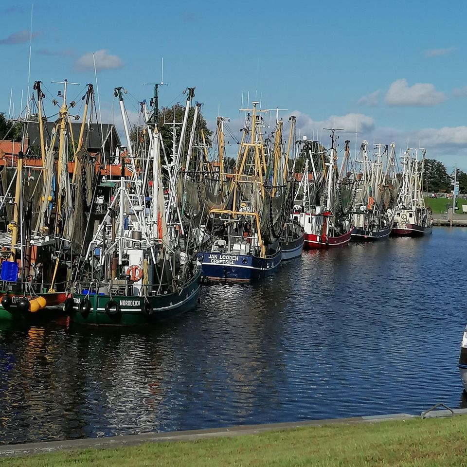 Wohnen wo andere Urlaub machen nahe Greetsiel in Grimersum