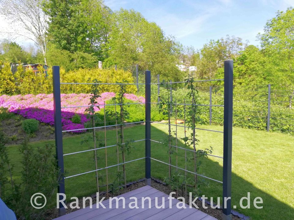 ☘️RANKMANUFAKTUR Design Rankhilfe Rankgerüst Kletterhilfe Rankgitter Spalier Rosenbogen Metall Holz Sichtschutz Garten Terasse Spalierobst Weinrebe Himbeeren Balkon Sichtschutzzaun Hochbeet Pergola ☘️ in Röthenbach