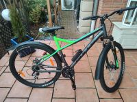 Bulls Sharptail 2 Mountainbike 29 Zoll Nordrhein-Westfalen - Enger Vorschau