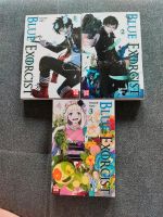 Blue Exorcist 1-3 Manga Baden-Württemberg - Bretzfeld Vorschau