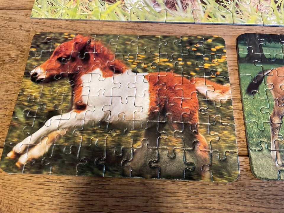 Puzzle Katzen 100 Teile und 2 Pferde Puzzle 54 Teile in Düsseldorf