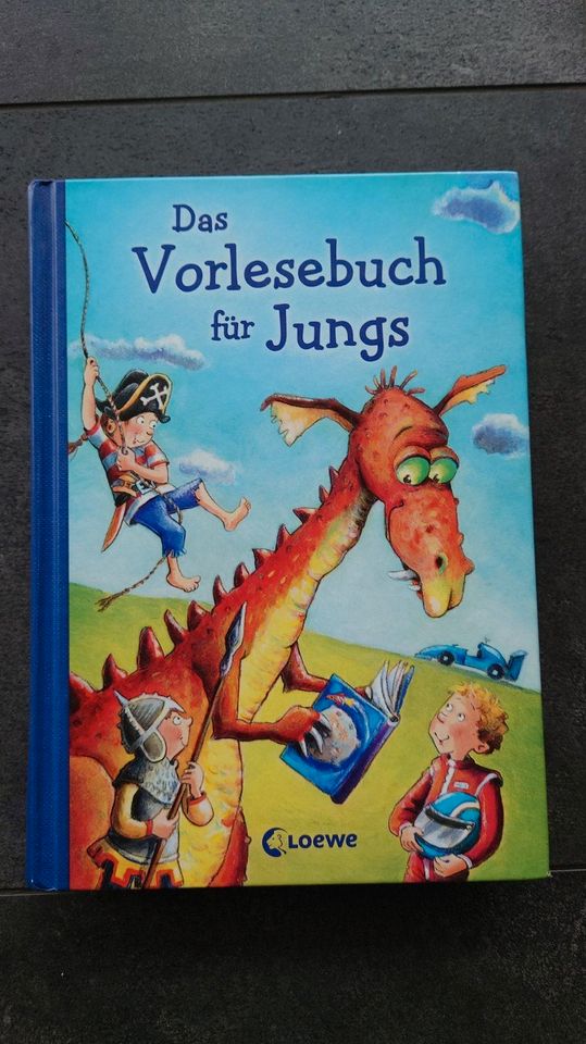 Buch: Das Vorlesebuch für Jungs Drache Pirat Ritterburg 4-6 J in Seevetal