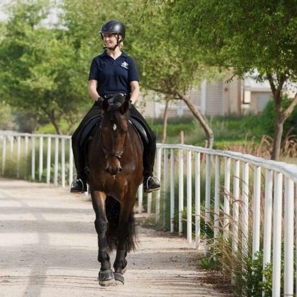 Bereiter bietet Beritt, Anreiten, Korrektur, Turniervorstellung in Gilten