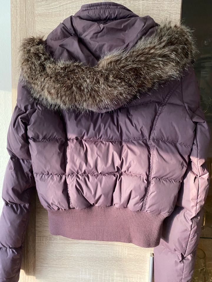 Tommy Hilfiger Winterjacke L fällt wie M aus in Braunschweig