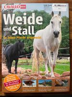 Cavallo Weide und Stall - so leben Pferde artgerecht Rheinland-Pfalz - Volkerzen Vorschau