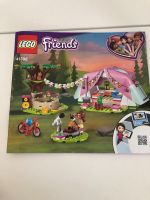 LEGO 41392 Friends Camping in Heartlake City Set Rheinland-Pfalz - Gau-Odernheim Vorschau