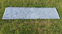 2 Stück Betonzaun Element 2m x 0,5m x 0,04m Sachsen - Zwochau Vorschau