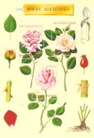 Frankreich Block 21** Blumen Pflanzen - Rosenzüchtungen La France Nordrhein-Westfalen - Kamen Vorschau