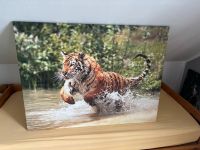 Tiger Leinwand XXL 120x90 cm Bild Schleswig-Holstein - Glinde Vorschau