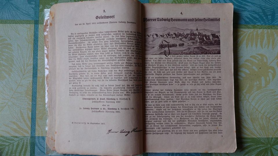 Buch "Heumann Heilmittel", 100. Auflage aus dem Jahr 1918. in Berlin