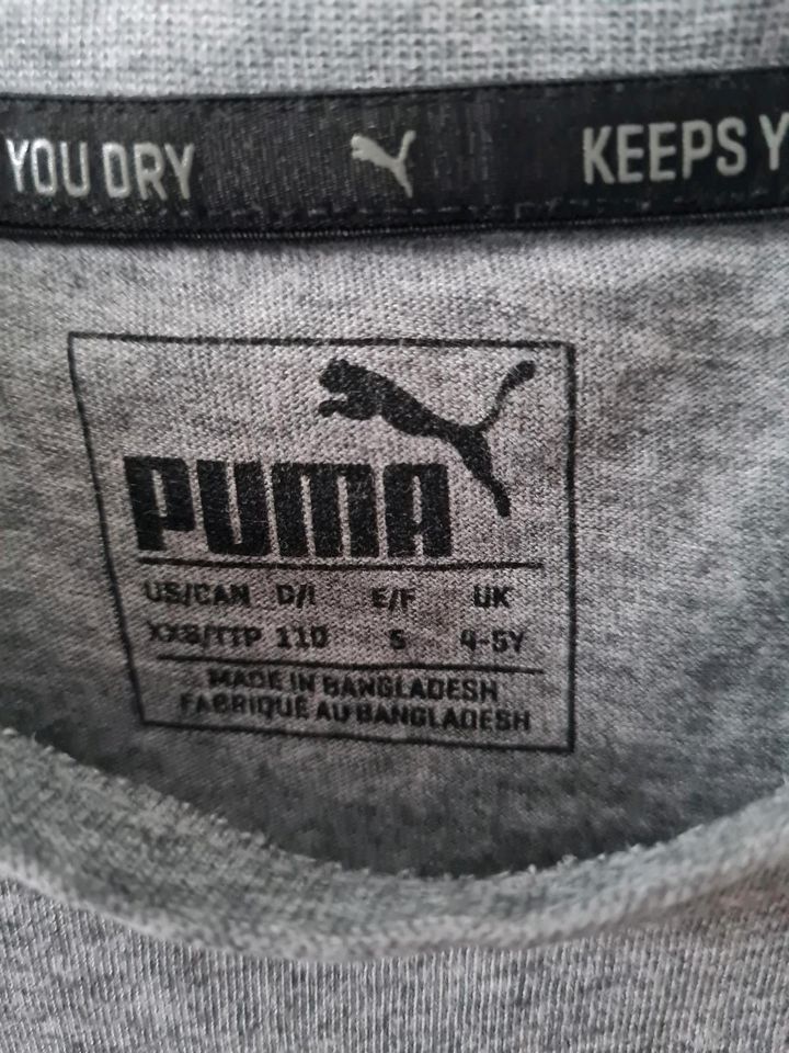 T-shirt von Puma Gr. 110 in Nürnberg (Mittelfr)