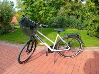 Solero SL Pegasus Fahrrad in grau Niedersachsen - Pohle Vorschau