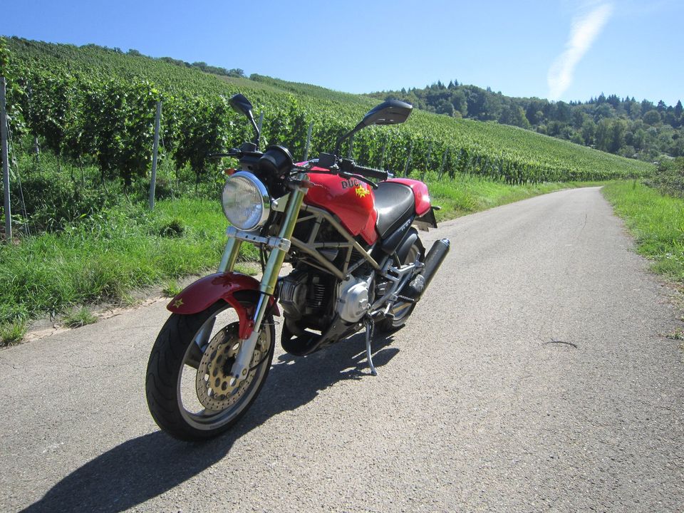Ducati Moster 600 A2 Variante, Urmonster mit Carbon, TÜV neu in Weinstadt