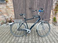 Fahrrad Herren 28 Zoll Herrenrad Bike Kettler Kindersitz Brandenburg - Treuenbrietzen Vorschau