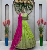 Lehenga in grün und pink indien Niedersachsen - Munster Vorschau