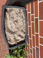 Sand zu verschenken Niedersachsen - Rhede Vorschau