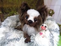 Ooak Plüschhund langhaar Chihuahua Unikat Handmade Zertifikat Brandenburg - Eberswalde Vorschau