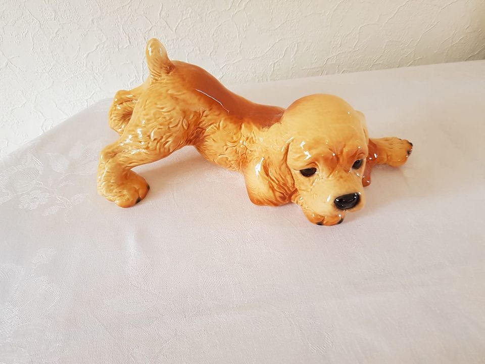 Goebel Hund, Cocker Spaniel, Welpe, Porzellan, Länge: 31 cm in Hannover