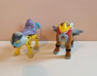 Pokemon - Entai & Raikou - Figuren - 2010 - nintendo Brandenburg - Potsdam Vorschau