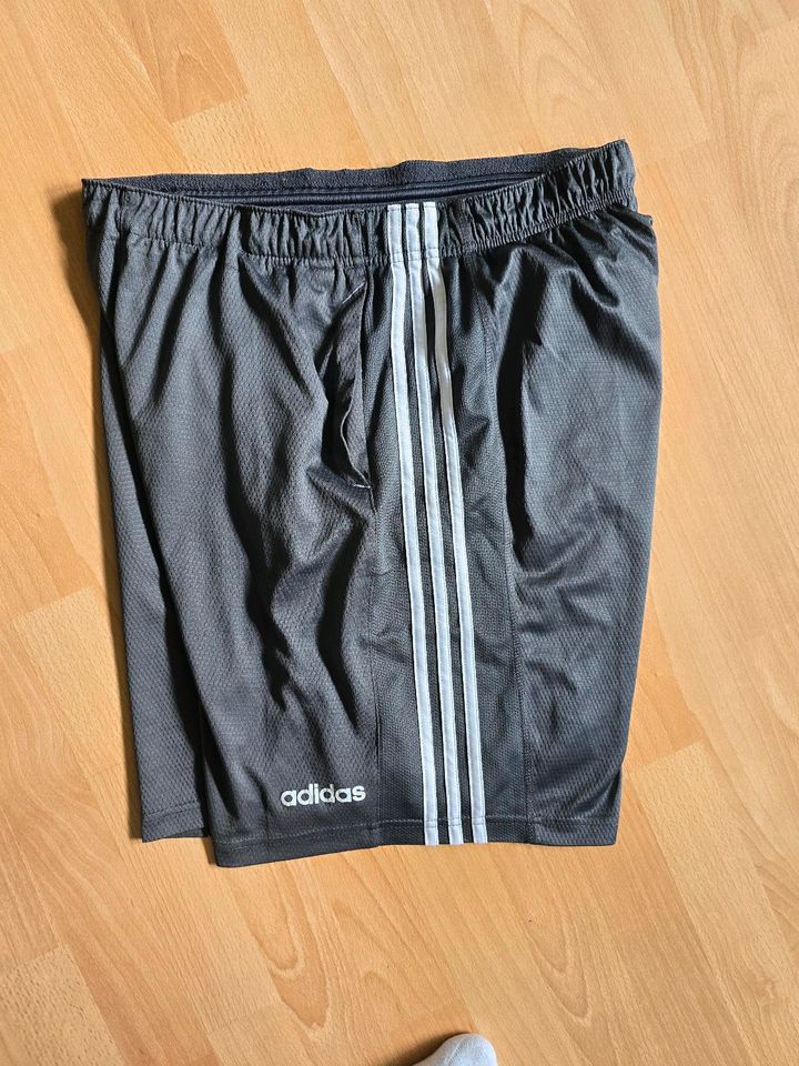 Adidas sport shorts Größe L in Köln