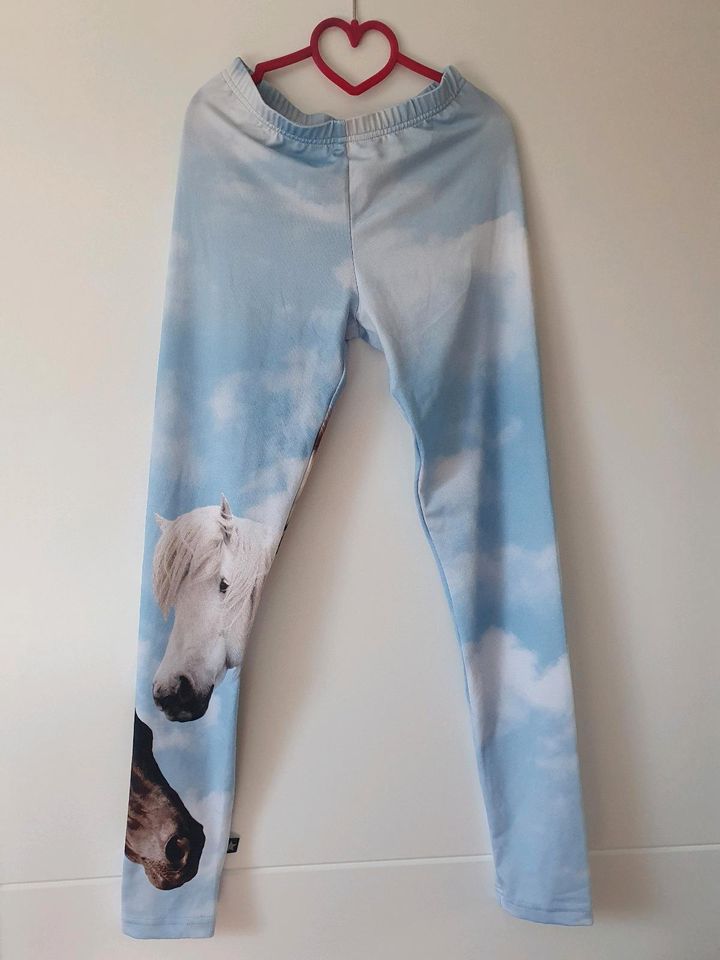 Schöne Molo Leggings Pferde 152 Öko-Designer-Marke in Klipphausen