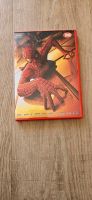 DVD Spiderman Hessen - Riedstadt Vorschau