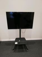 GRUNDIG  40VLE 6120BF Fernseher TV Ständer  rollbar Schleswig-Holstein - Norderstedt Vorschau