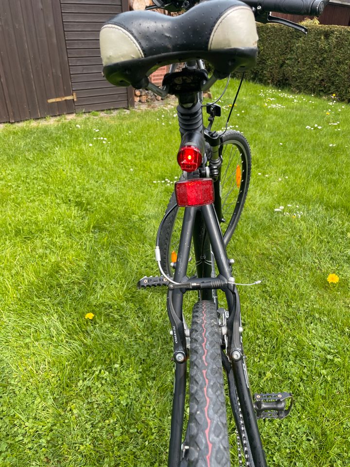 28" Fahrrad Bulls Trekkingrad GL300 Shimano Deore 21 Gang in Lößnitz