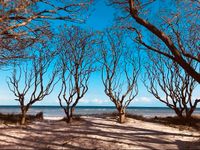 Last Min⛵️ Ferienwohnung am Strand Ostsee Insel Poel Balkon Nordwestmecklenburg - Landkreis - Poel Vorschau