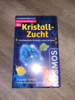 Kristall-Zucht Set Kreis Pinneberg - Klein Nordende Vorschau