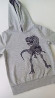 Jungen Kaupzenpullover Hoodie Dinosaurier Sweatshirt Berlin - Marzahn Vorschau