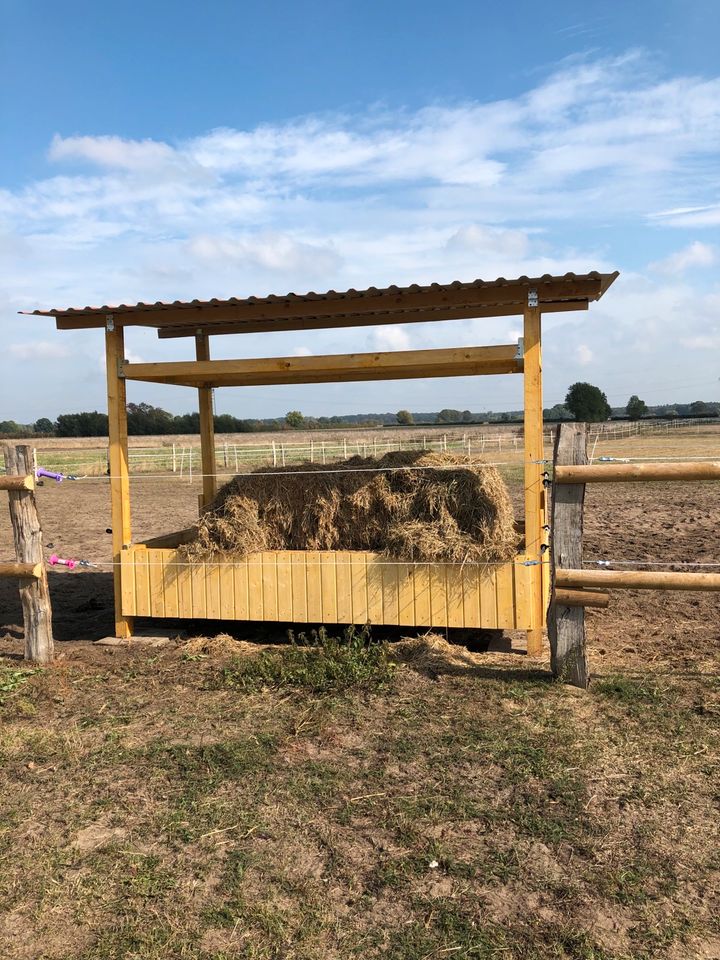 Offenstall / Stall / Offenstallplatz in 29690 Grethem in Schwarmstedt