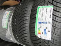 Nexen N blue 4 Season 225/50 R17 98V XL Allwetterreifen Neu !! Rheinland-Pfalz - Ockenheim Vorschau