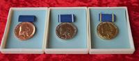 Pestalozzi - DDR - MEDAILLE Gold, Silber & Bronze Bayern - Gochsheim Vorschau