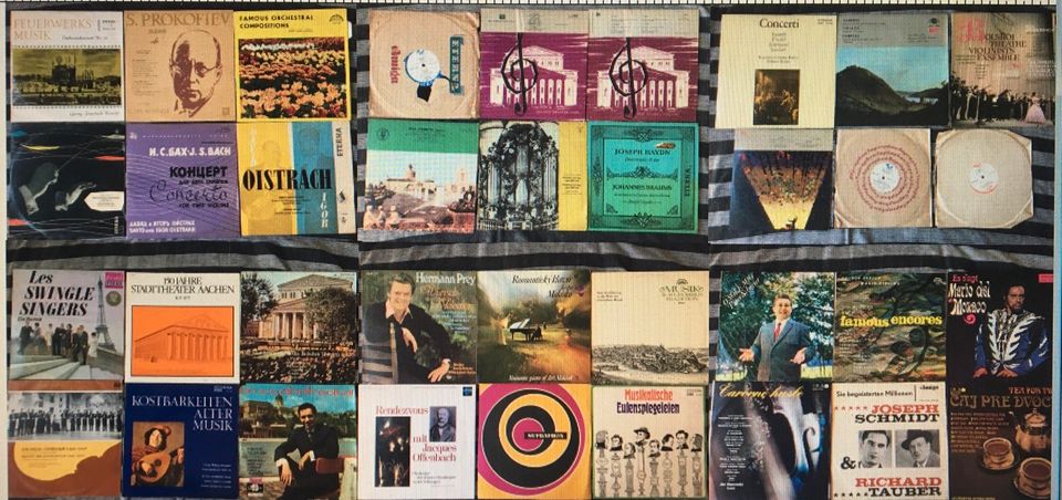 88 Langspielplatten Querbeet in Dresden