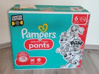 Pampers Pants Gr. 6 Limited Edition „Paw Patrol“ 138St. Nordrhein-Westfalen - Paderborn Vorschau