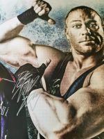 TNA Slammiversary 8 Poster Original Sign by Sting & RobvanDam Bochum - Bochum-Wattenscheid Vorschau