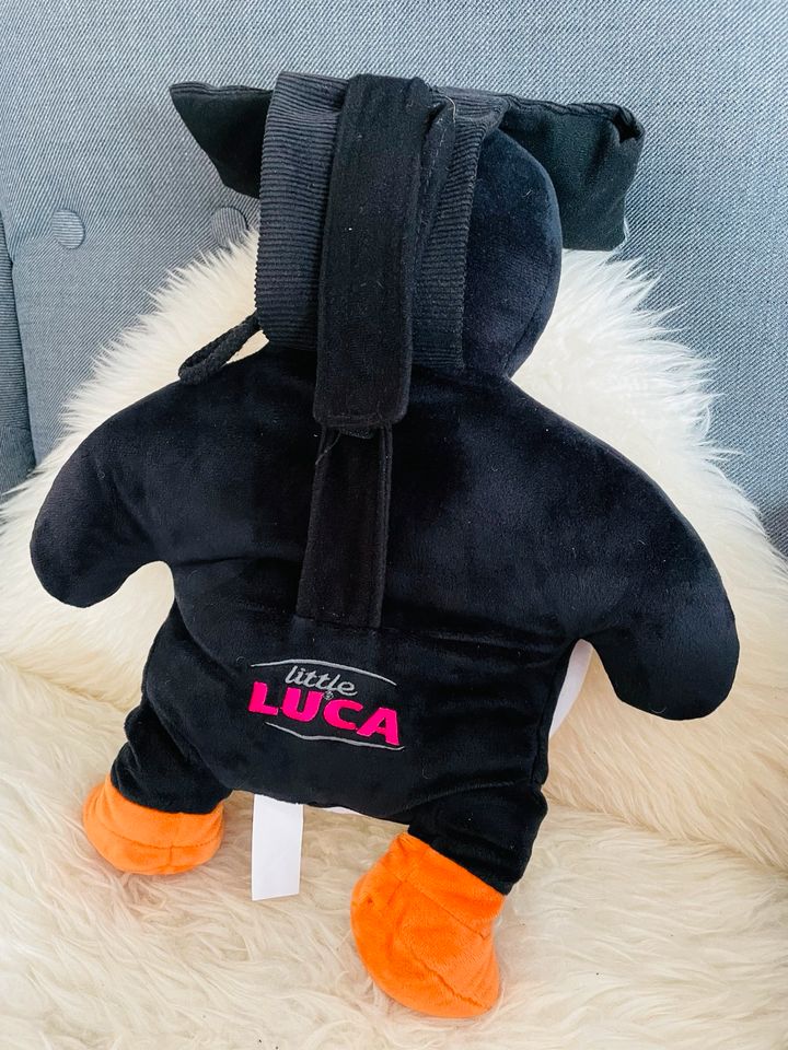 ⭐️Little Luca Pinguin Autospiegel⭐️ in Stuttgart