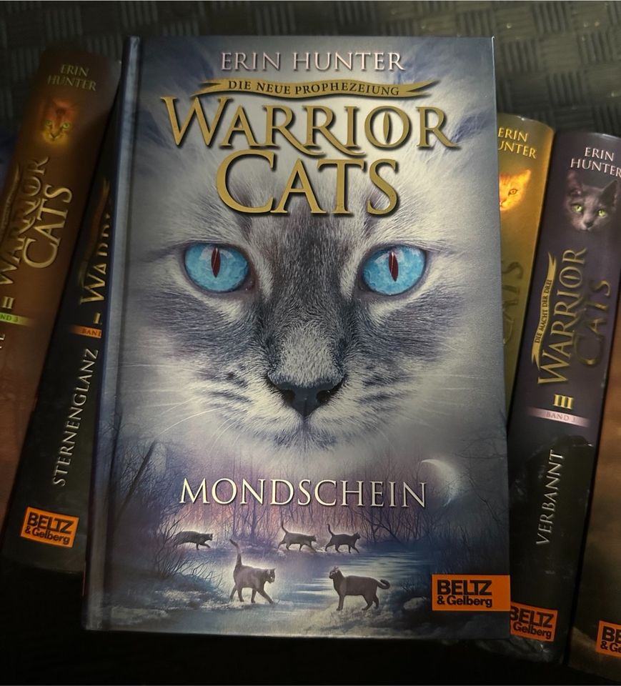 Warrior Cats von Erin Hunter in Detmold