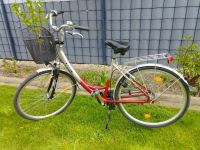 Damenfahrrad 28 Zoll Nordrhein-Westfalen - Paderborn Vorschau