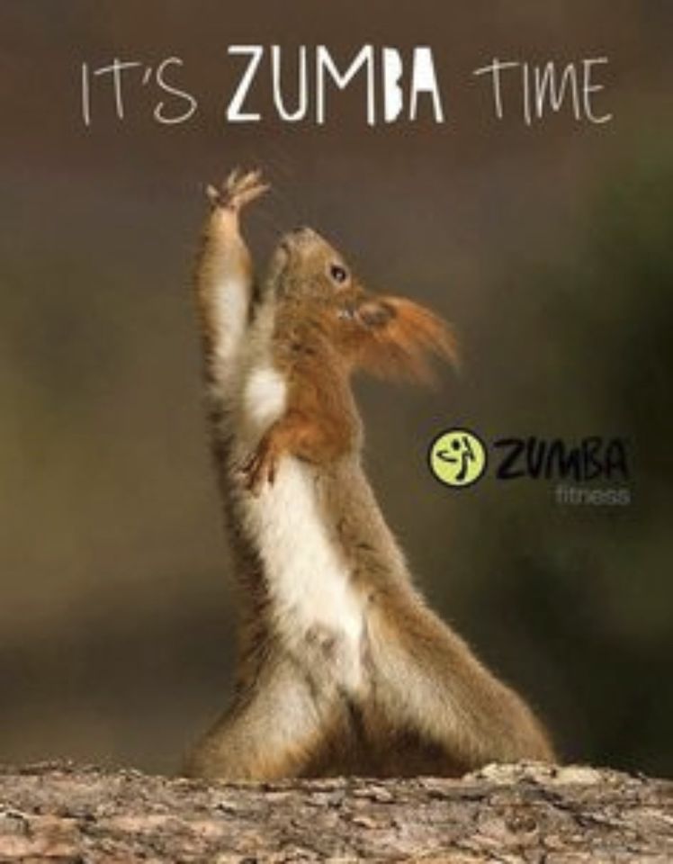 Zumba Kurs in Berlin