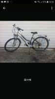 28 Zoll Hercules Damen Trekking Fahrrad Bayern - Grettstadt Vorschau