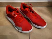 Puma Clyde All pro Team Gr. 44 US 10.5 UK 9.5 Basketball Schuhe Bayern - Miesbach Vorschau