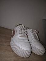 Damenschuhe NIKE PUMA BENCH REEBOK CATWALK GRACELAND GR39-40 Baden-Württemberg - Rastatt Vorschau