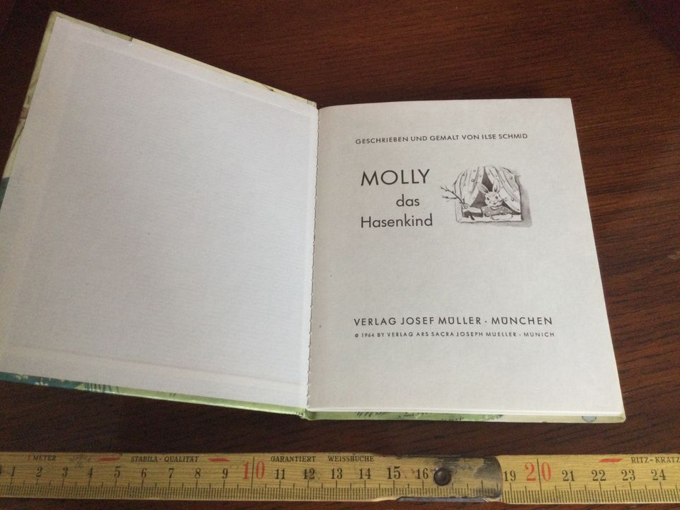Osterhasen Buch Molly, Hoppsi in Rückersdorf