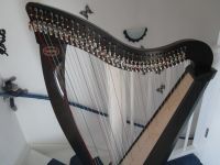 Harfe Dusty Strings Ravenna 34 kaum bespielt 1 Jahr alt Nordrhein-Westfalen - Witten Vorschau