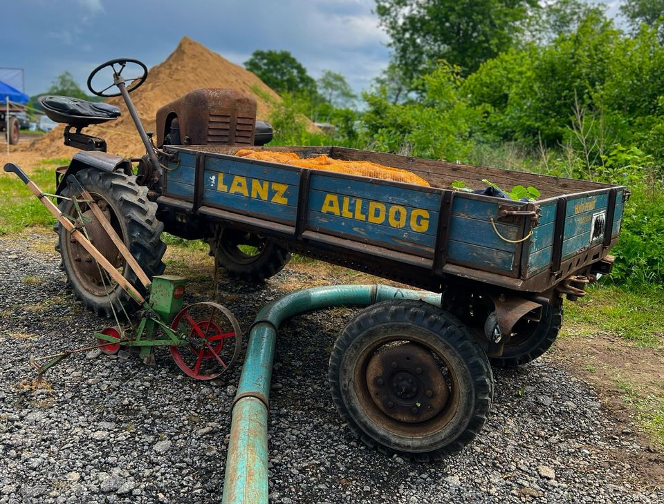 Tausche Lanz Alldog 1205 GT DKW Fendt Oldtimer Trecker Ihc in Neumünster