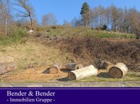 Schönes Baugrundstück am Waldrand mit Fernblick - nähe Daaden! Rheinland-Pfalz - Mauden Vorschau