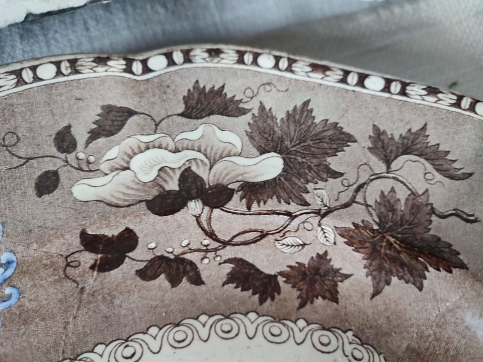 Antike Porzellan Schale Servierplatte brocante copeland garrett in Groß-Gerau