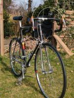 Peugeot Galibier Rennrad Randonneur 61 RH Schleswig-Holstein - Owschlag Vorschau